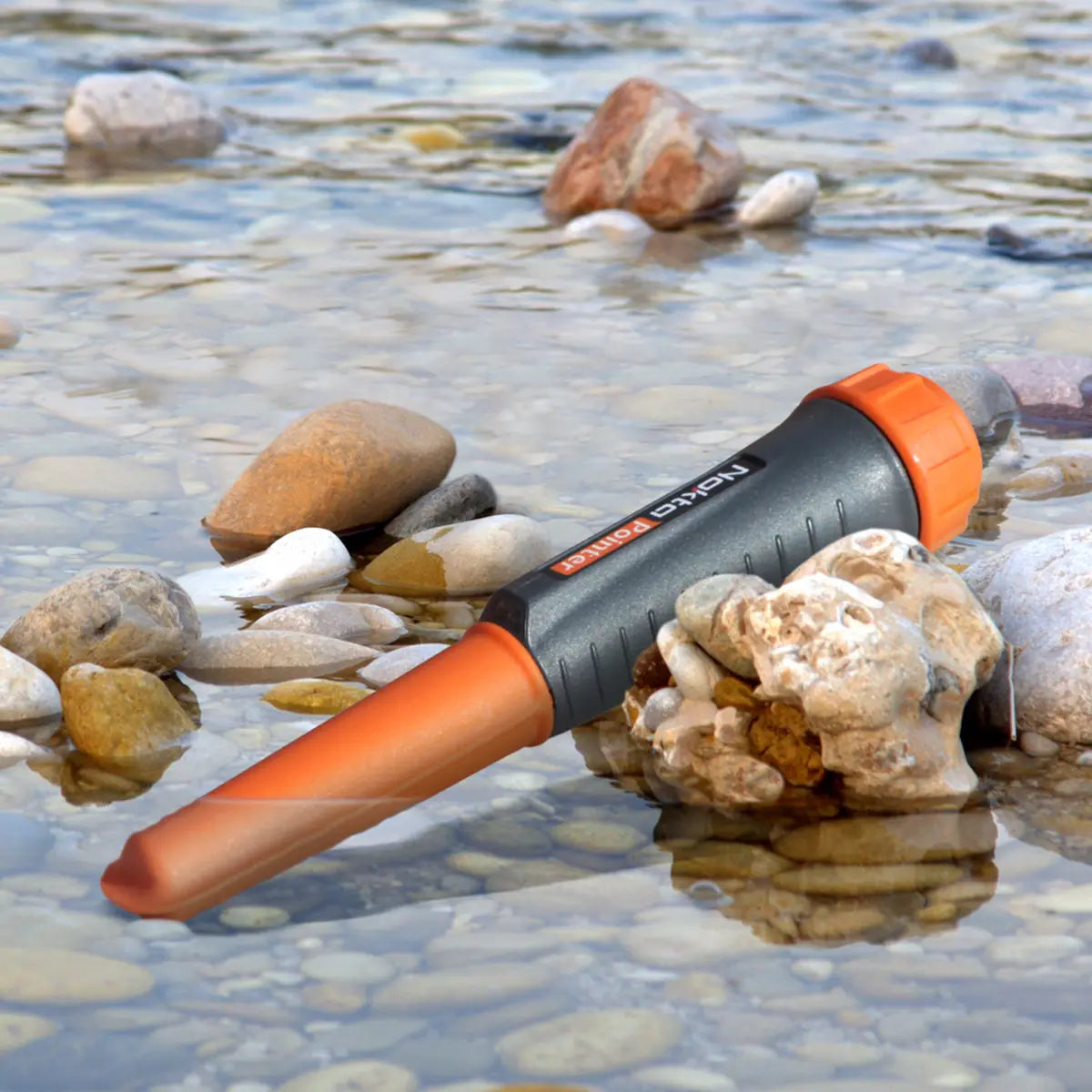 Nokta Pointer